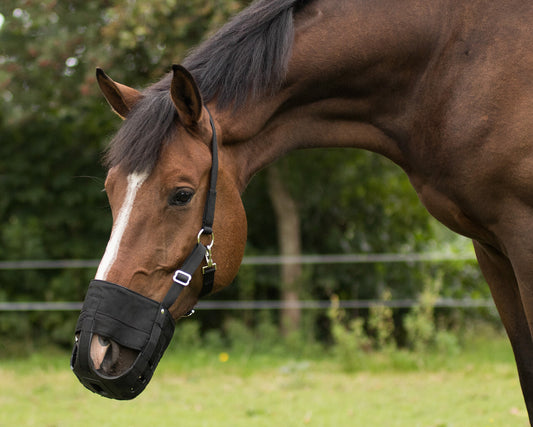 Muselière cheval avec narines (Panier) QHP