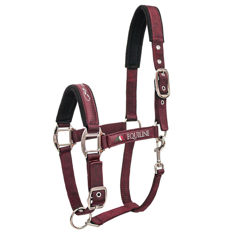 Licol Timmy Equiline Bordeaux